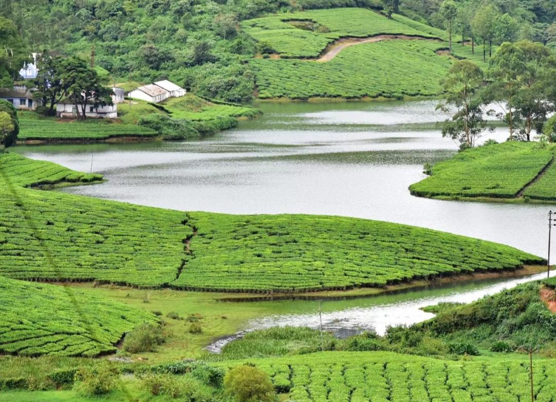 Wonderland Hotels & Backpackers Kodaikanal Exterior foto