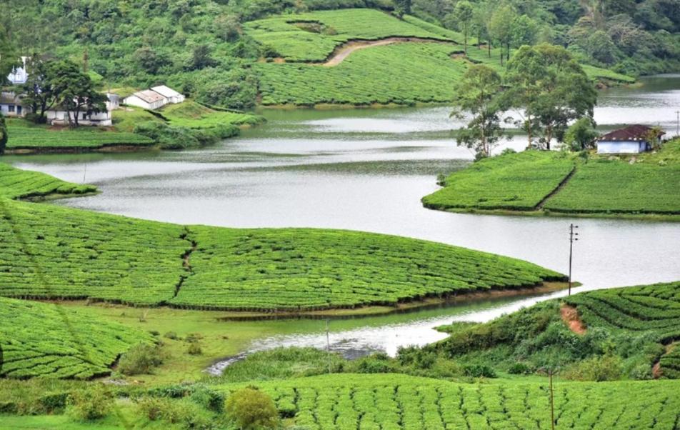 Wonderland Hotels & Backpackers Kodaikanal Exterior foto